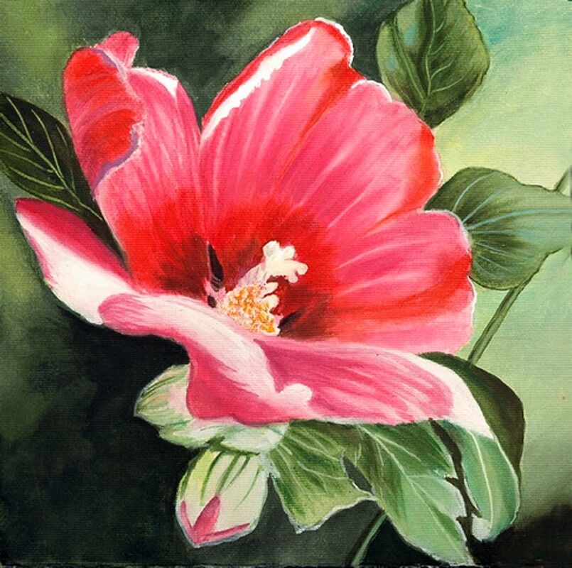 floral series  10