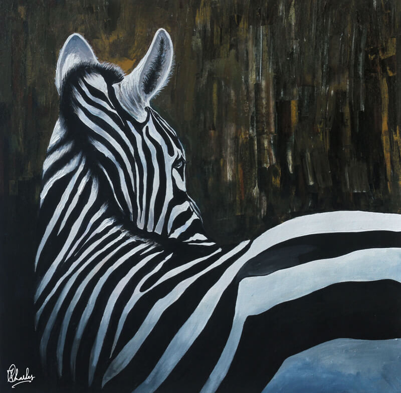 Zebra