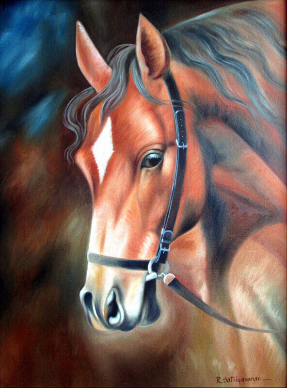 Majestic Tammed Horse