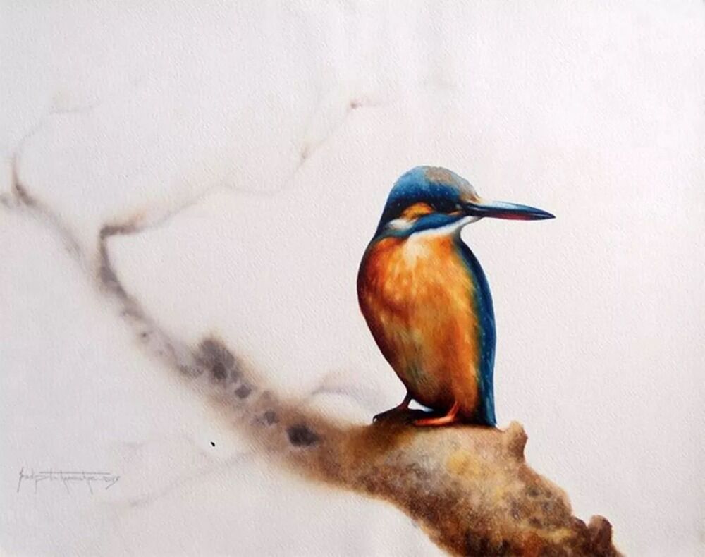 kingfisher bird