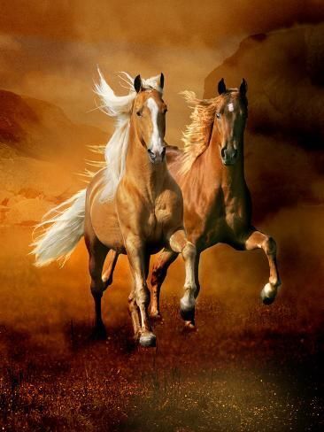 Buy Running Horse Paintings Online | Seven horse painting