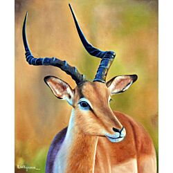 deer art,deer painting, oil painting,Oil painting on canvas gives a durable rich, elegant, look and feel that is long lasting.  With proper colors, texture the painting can last long to more than 100 years!!