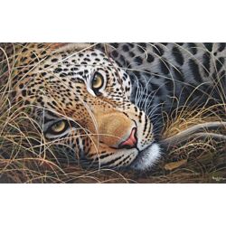 animal painting,unrevealed beauty in realistic painting best suitable for living room