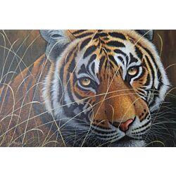 wild animal painting,realistic painting,100% Original, Hand Painted realistic Art paintings for your Living room or bed room wall