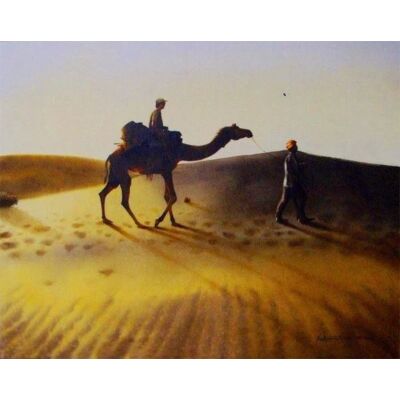 Camael Safari2 Rajasthan Series