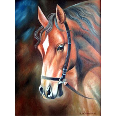 Majestic Tammed Horse