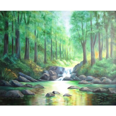 Water puddled Scenary