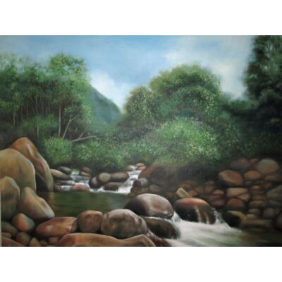 Rocky waterwayed Landscape