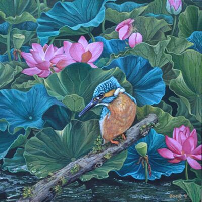 Kingfisher 2