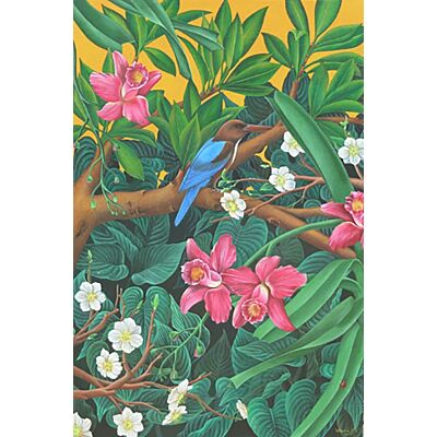 Pristine Soil Kingfisher