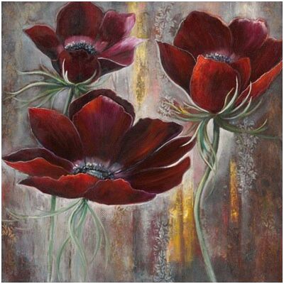 Red Velvet Poppies